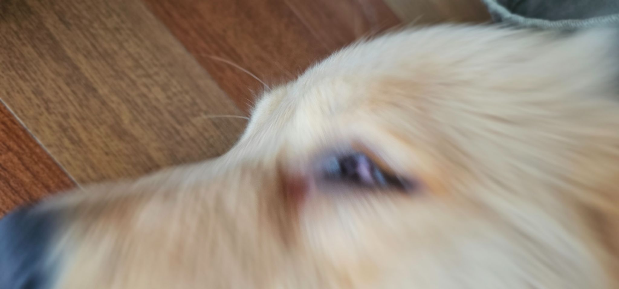 20260829 165106